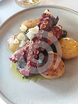 Octopus ÃÂ  lagareiro is a traditional Portuguese recipe photo